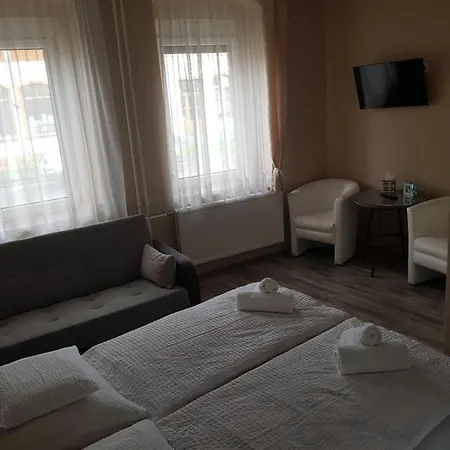 Dm Vendeghaz Pensiune Villány