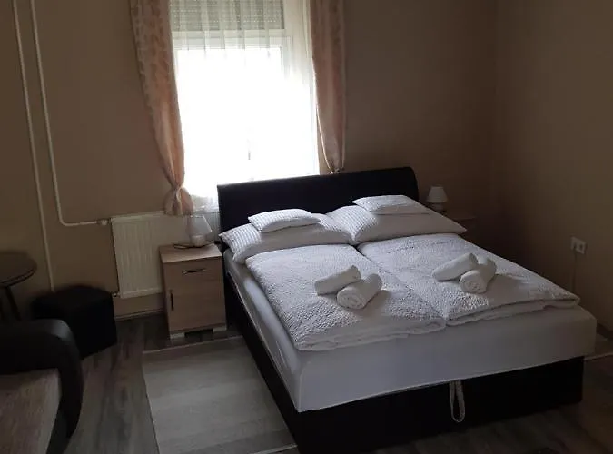 Guest house Dm Vendeghaz Villany